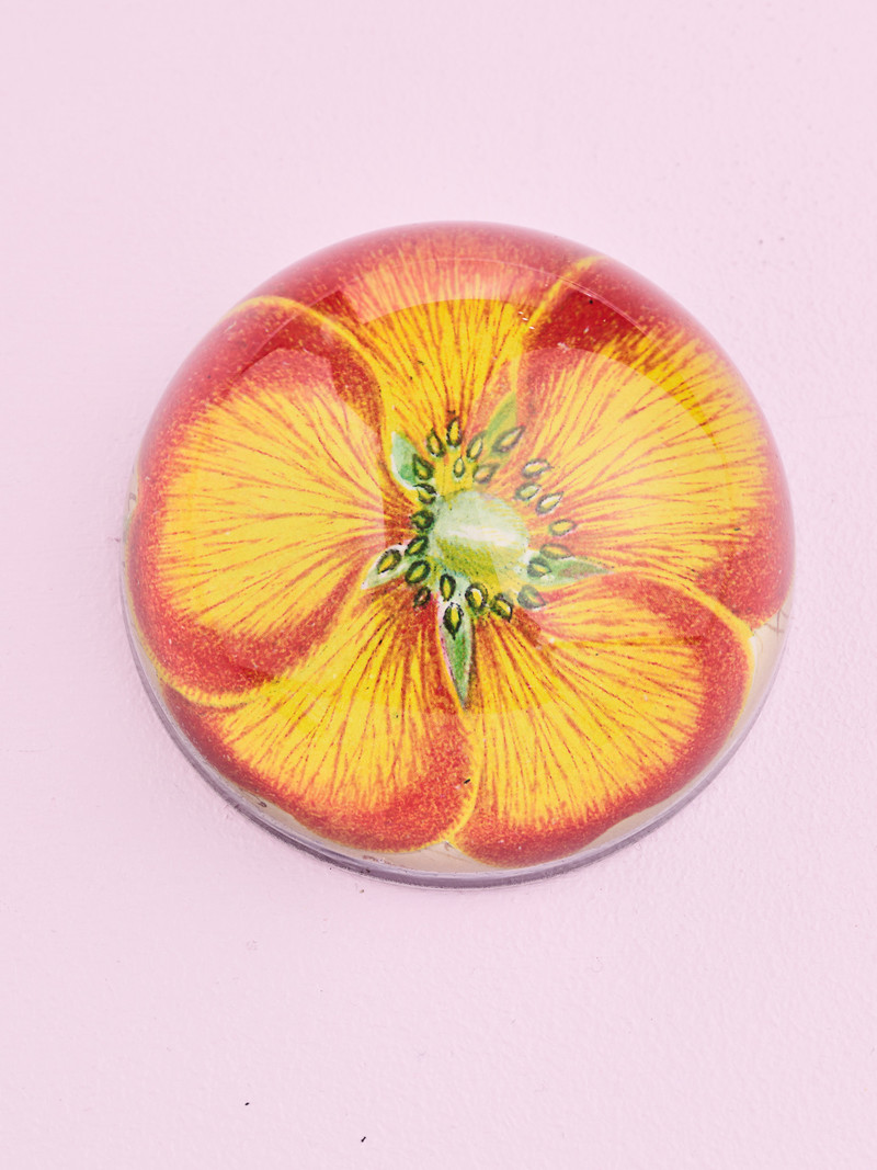 JOHN DERIAN Dome Paperweight -  Orange Nasturtium