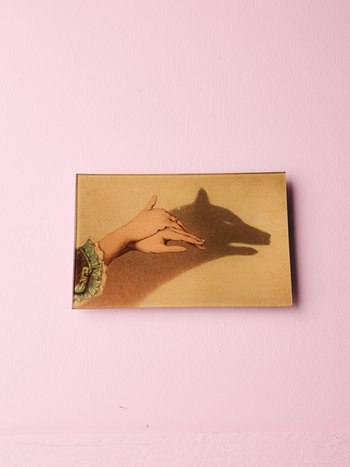 JOHN DERIAN Wolf Shadow Puppet