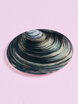 JOHN DERIAN Clam