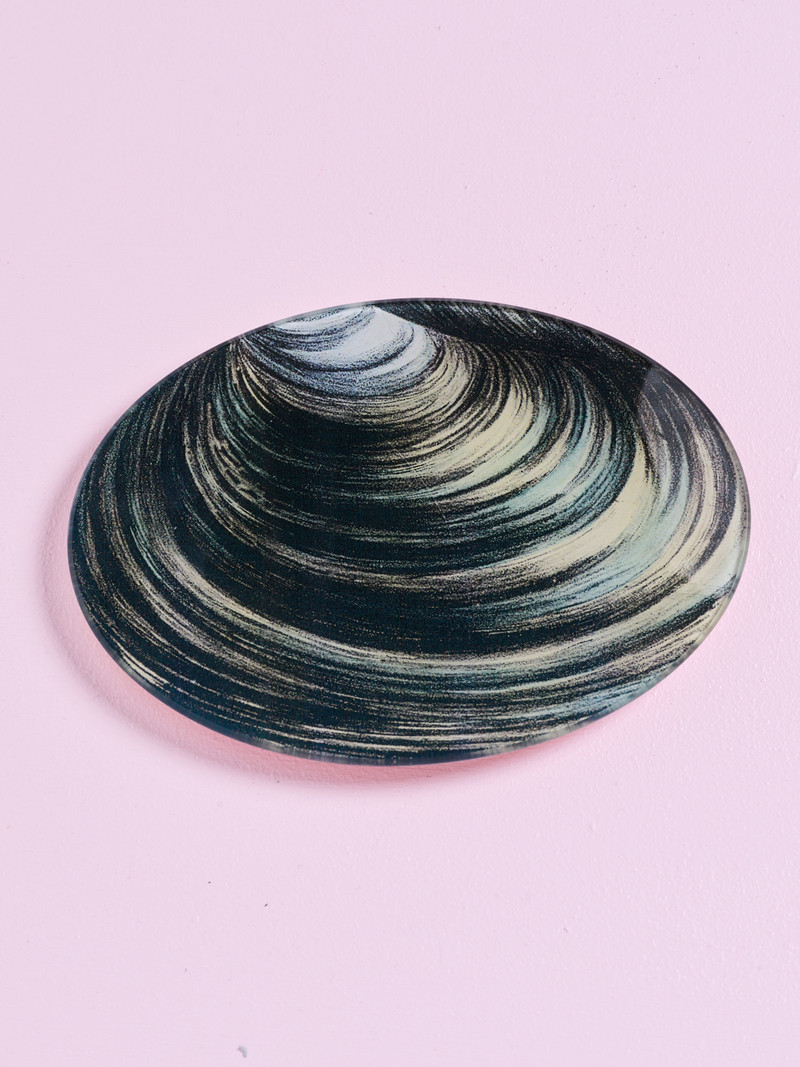 JOHN DERIAN Clam 5 x 7" Oval