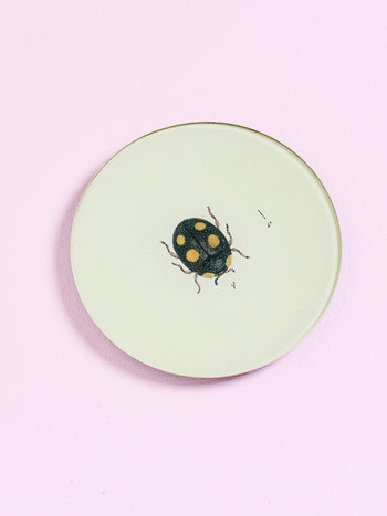JOHN DERIAN Ladybird (Ladybug) 5 3/4" Round Plate