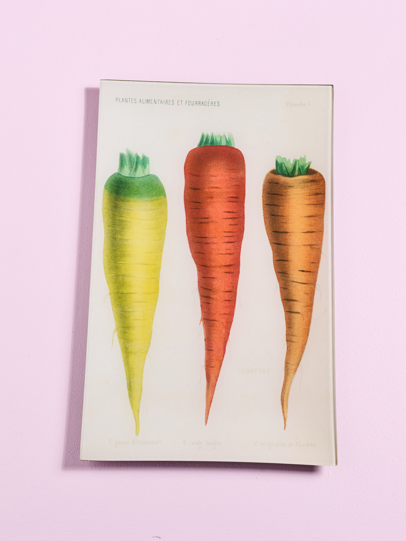 JOHN DERIAN V - Carottes de Flandre 10 x 16" Vegetable Tray