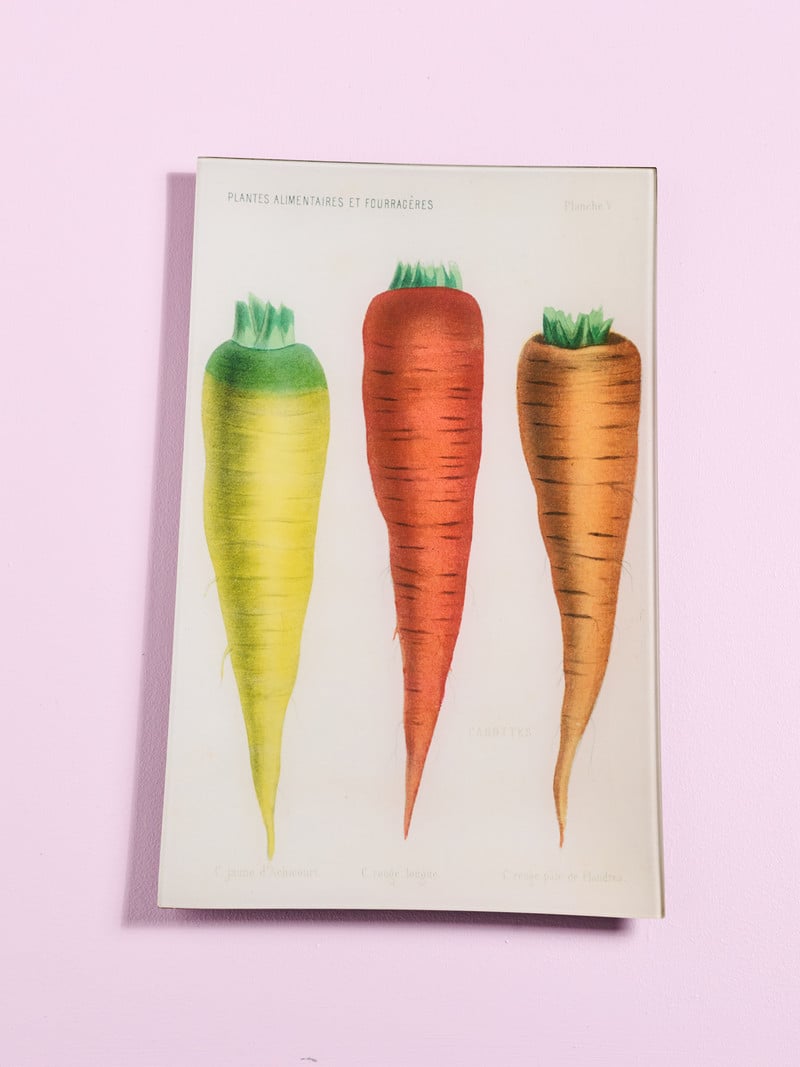 JOHN DERIAN V - Carottes de Flandre