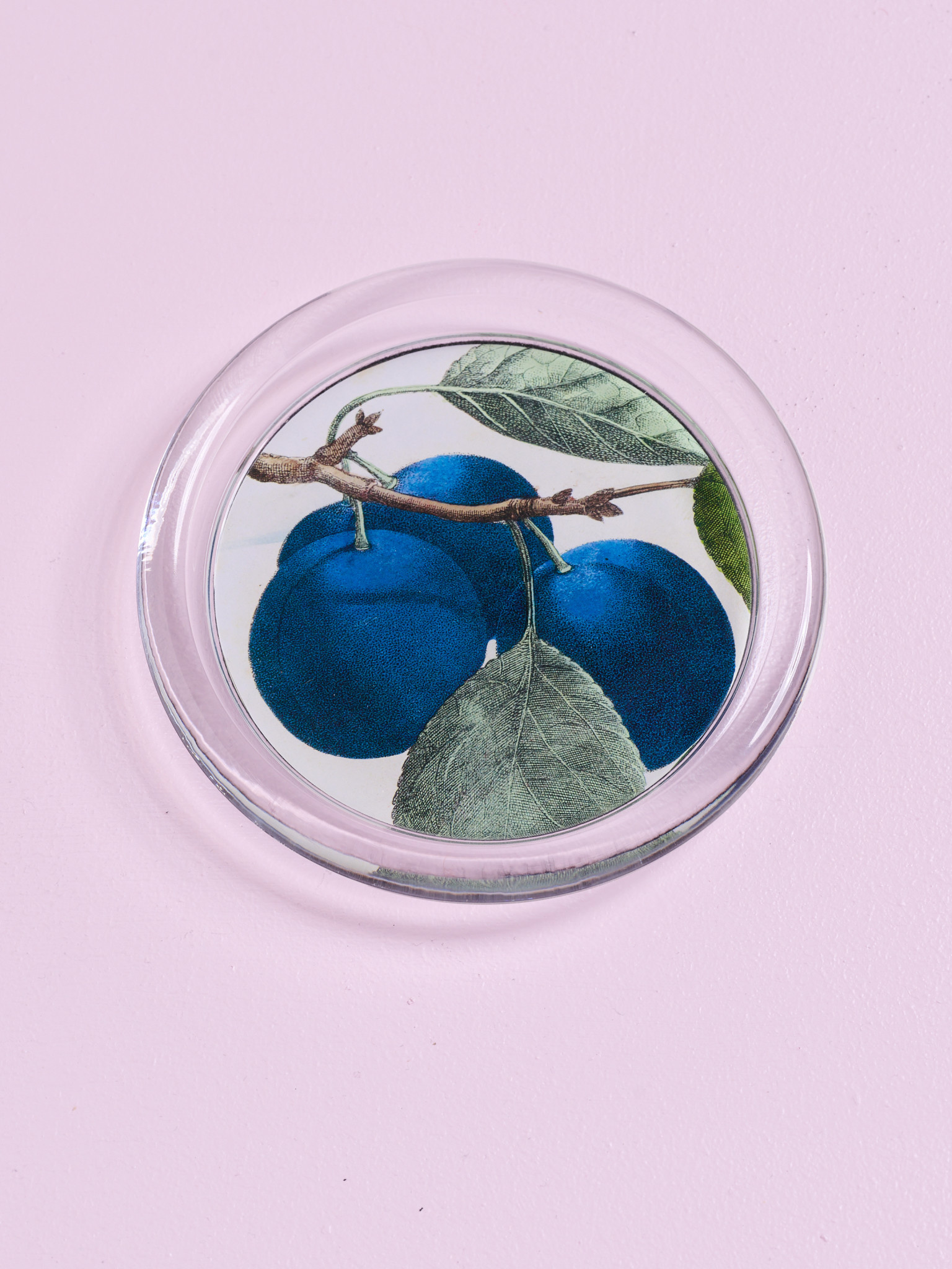 JOHN DERIAN Plum Coaster