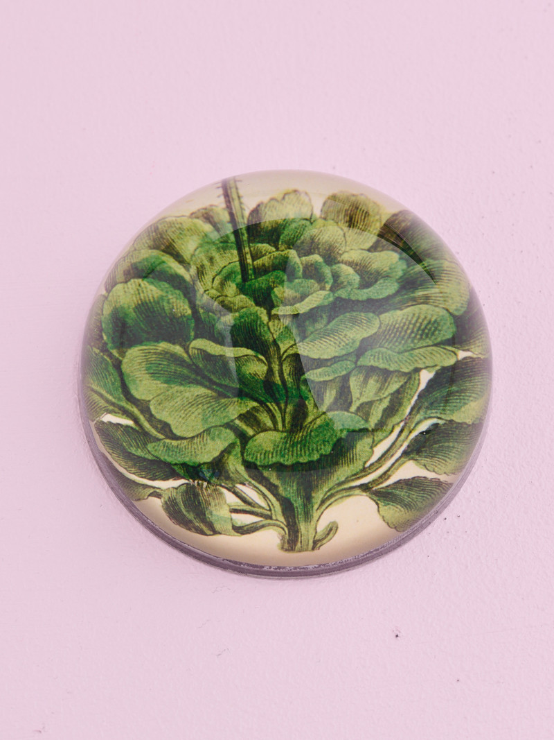 JOHN DERIAN Dome Paperweight -  Saxifraga