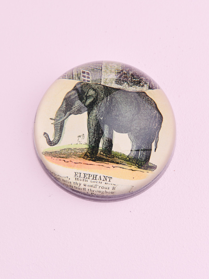 JOHN DERIAN Dome Paperweight -  Elephant Collage