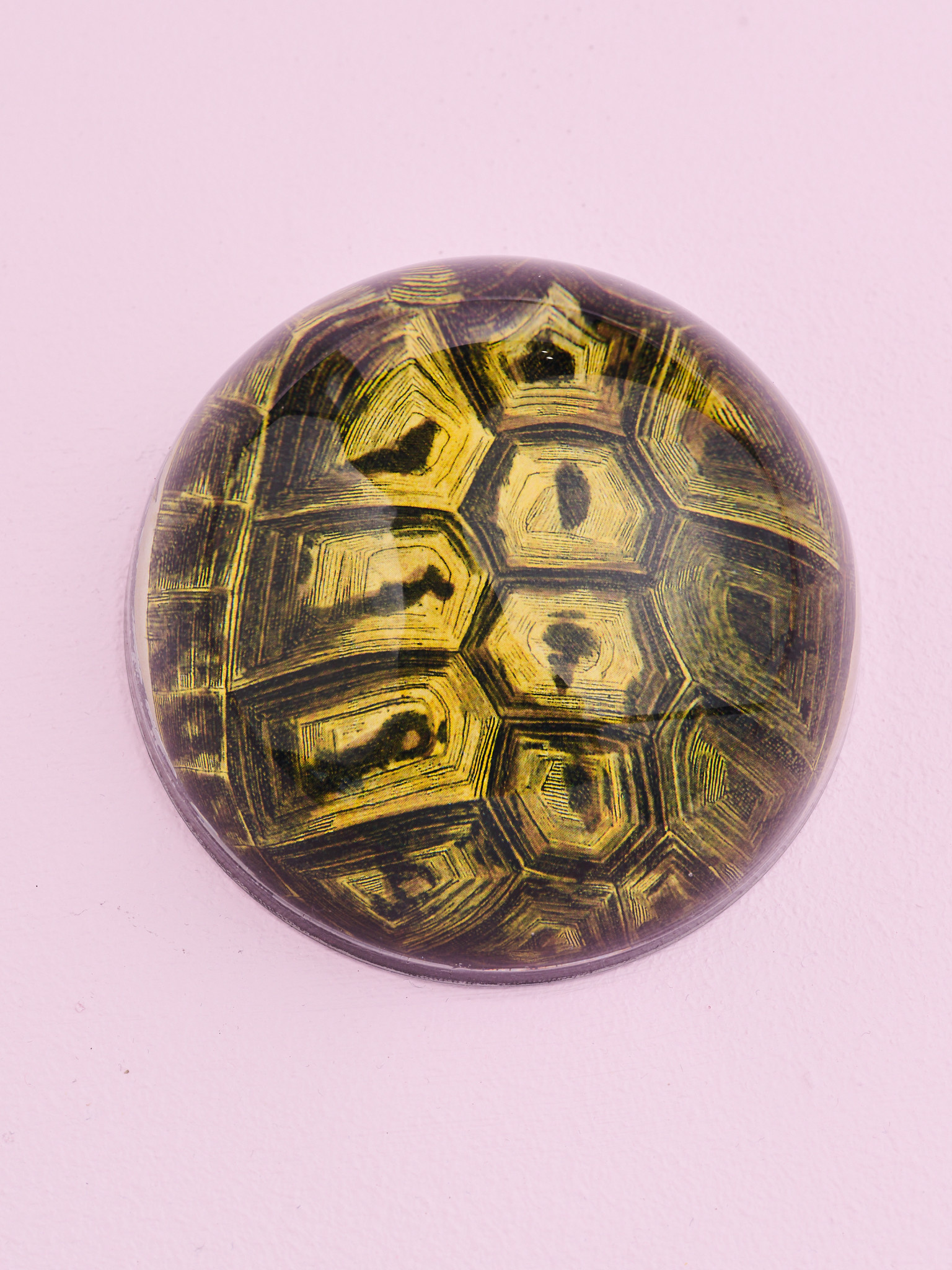 JOHN DERIAN Tortoise Paperweight