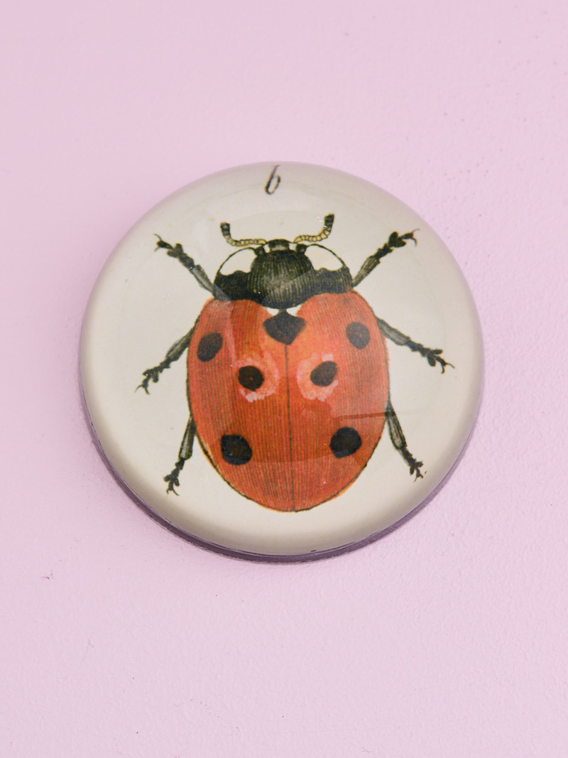JOHN DERIAN Dome Paperweight -  Red Ladybug