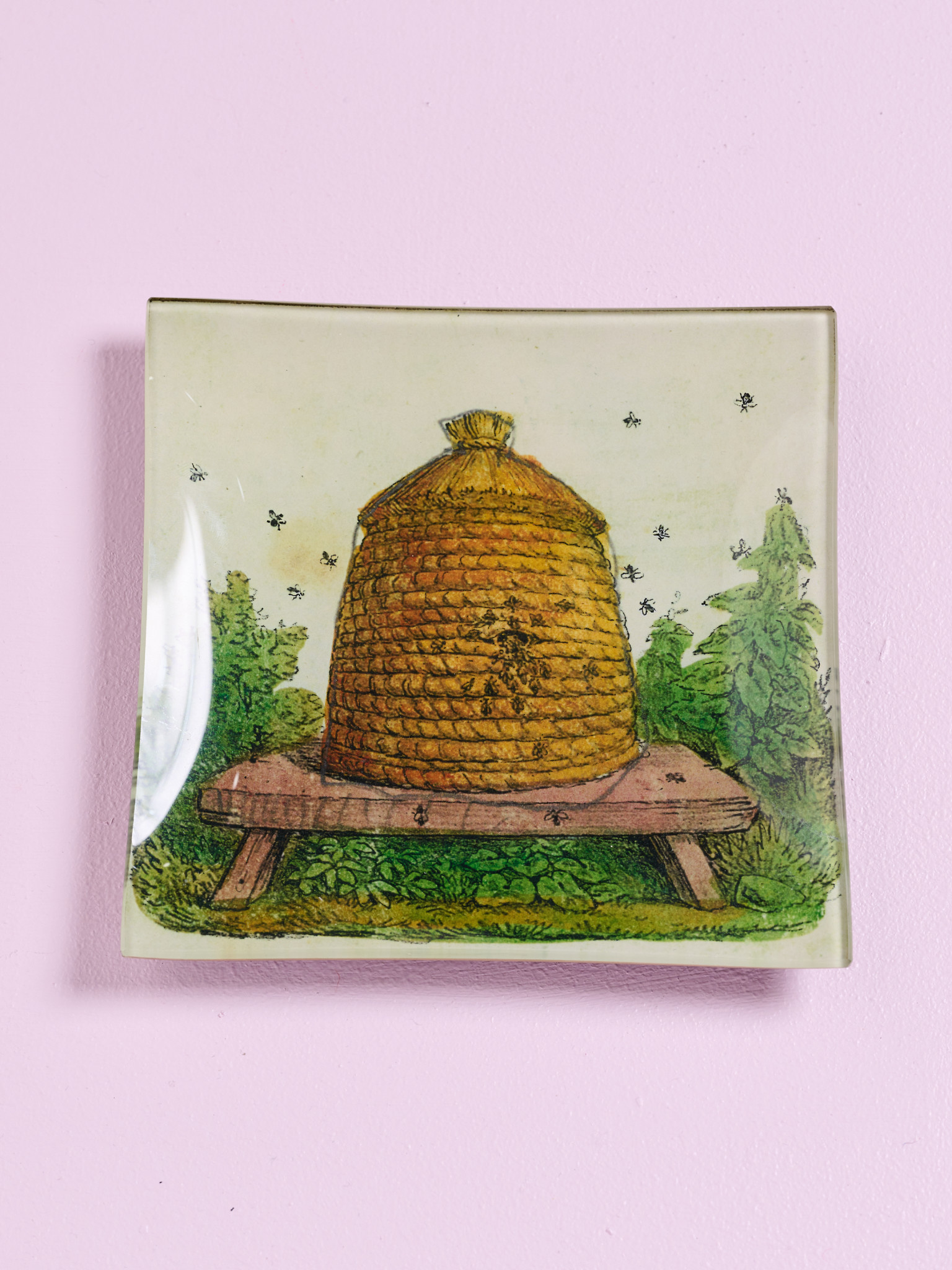 JOHN DERIAN Hive