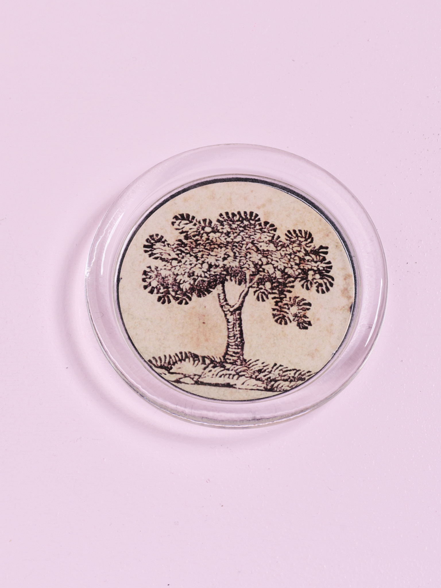 JOHN DERIAN Iconic Tree Coaster