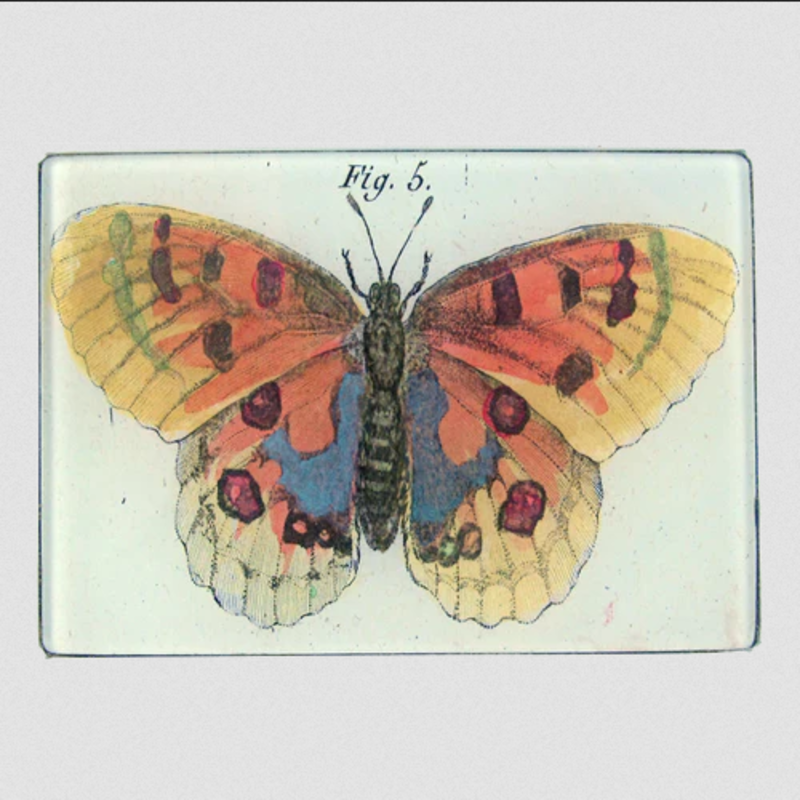 JOHN DERIAN Orange Butterfly Tray