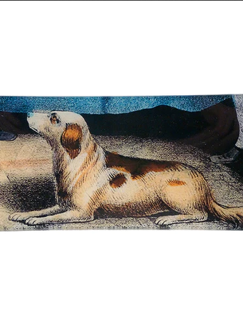 JOHN DERIAN A Dog's View Tray