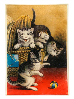 JOHN DERIAN Basket of Cats