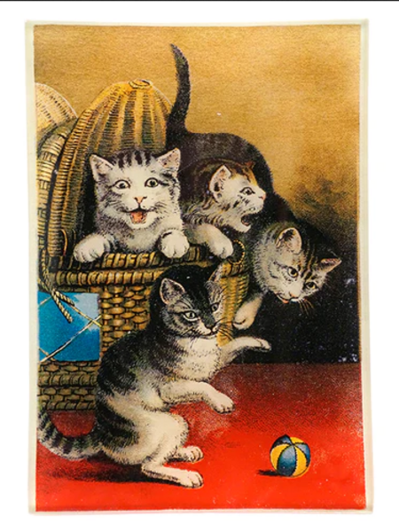 JOHN DERIAN Basket of Cats
