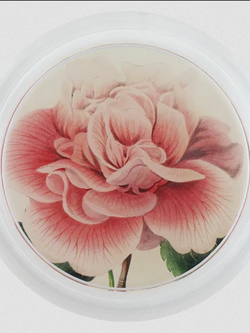 JOHN DERIAN Camellia Blossom 1 Coaster