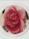 JOHN DERIAN Camellia Blossom 4 Coaster