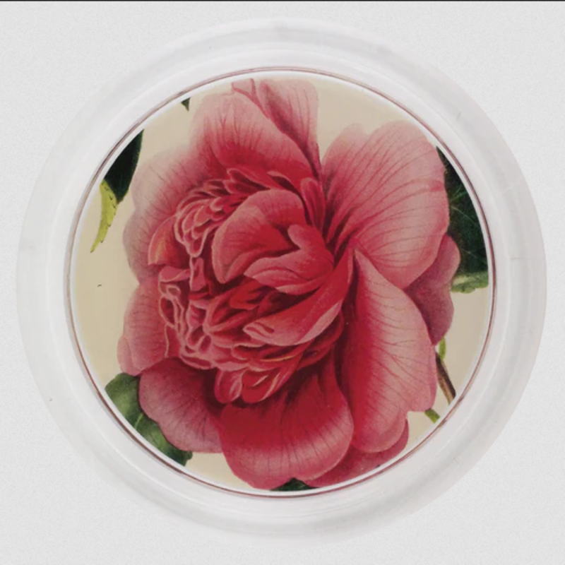 JOHN DERIAN Camellia Blossom 4 Coaster