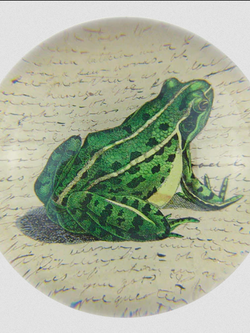 JOHN DERIAN Frog Prince Paperweight