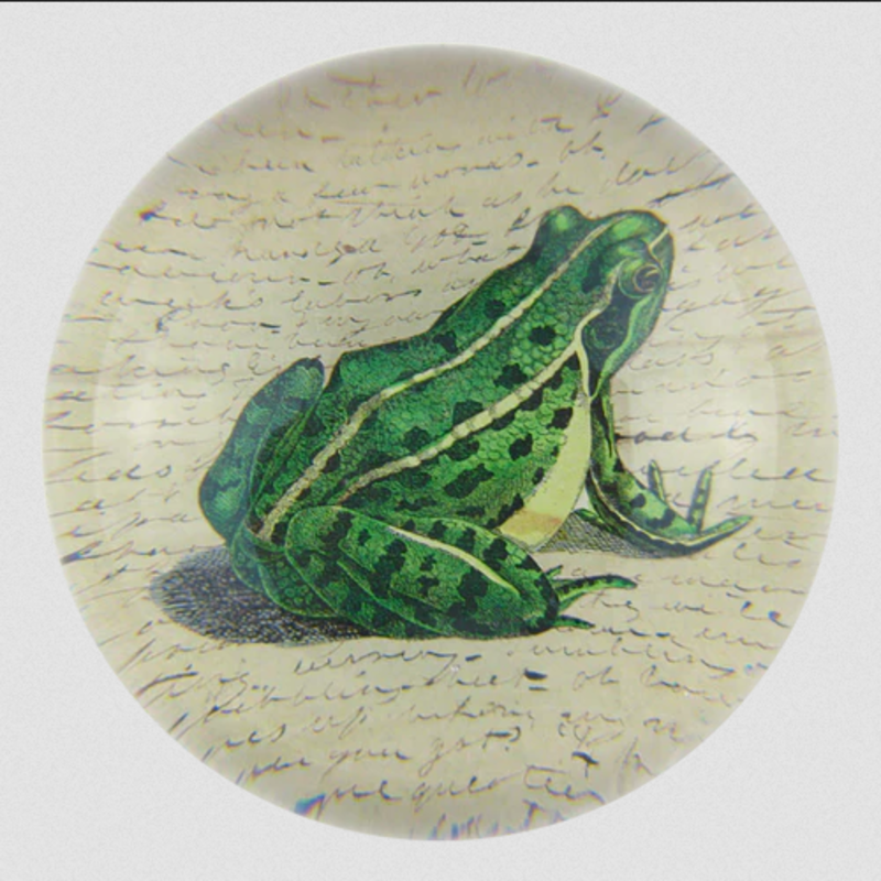 JOHN DERIAN Dome Paperweight - Frog Prince