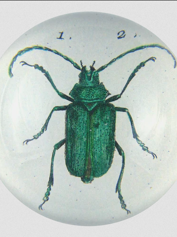 JOHN DERIAN Scarab (Green Beetle) Paperweight