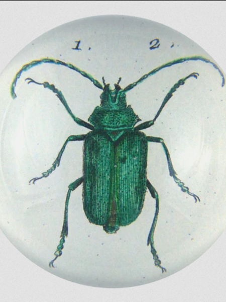 JOHN DERIAN Scarab (Green Beetle) Paperweight