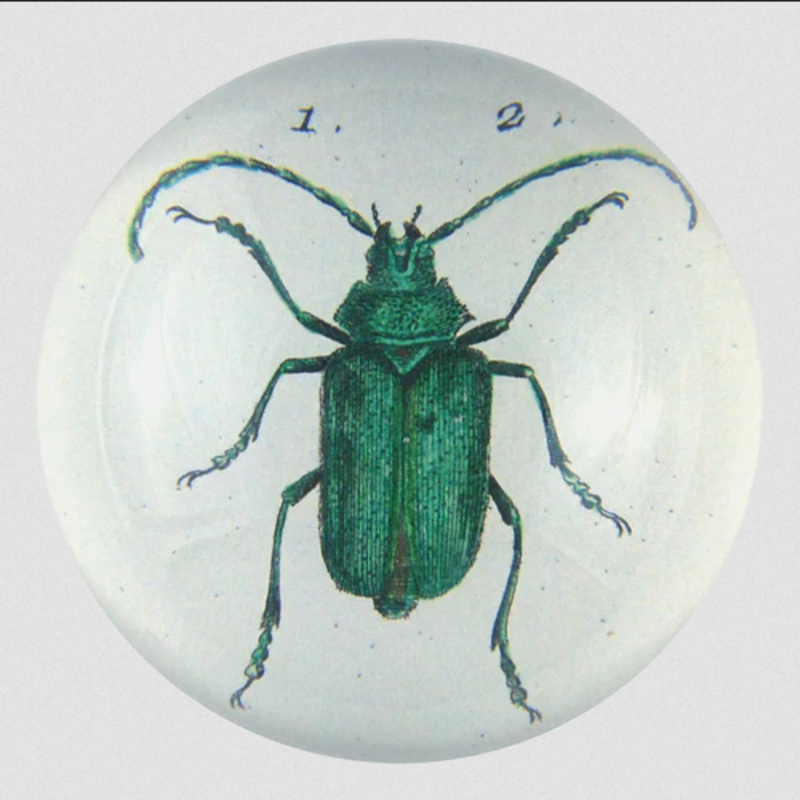 JOHN DERIAN Scarab (Green Beetle) Paperweight