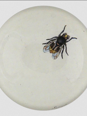 JOHN DERIAN The Fly Paperweight