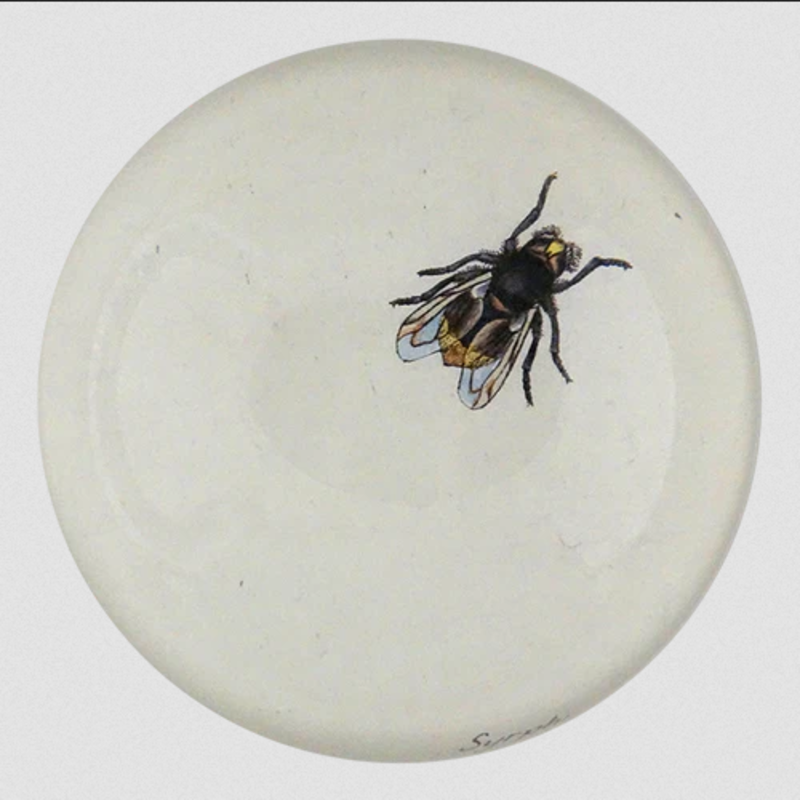 JOHN DERIAN Dome Paperweight - The Fly