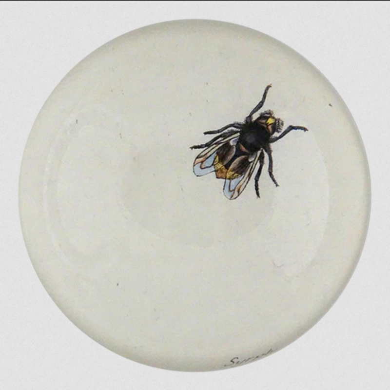 JOHN DERIAN The Fly Paperweight