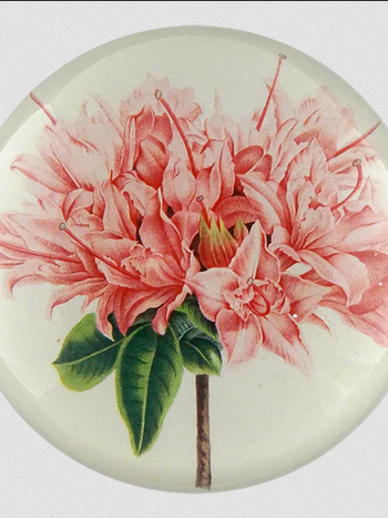 JOHN DERIAN Azalea Taye Paperweight