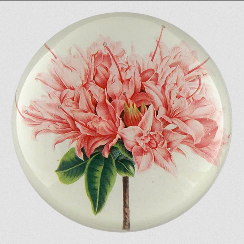 JOHN DERIAN Azalea Taye Paperweight