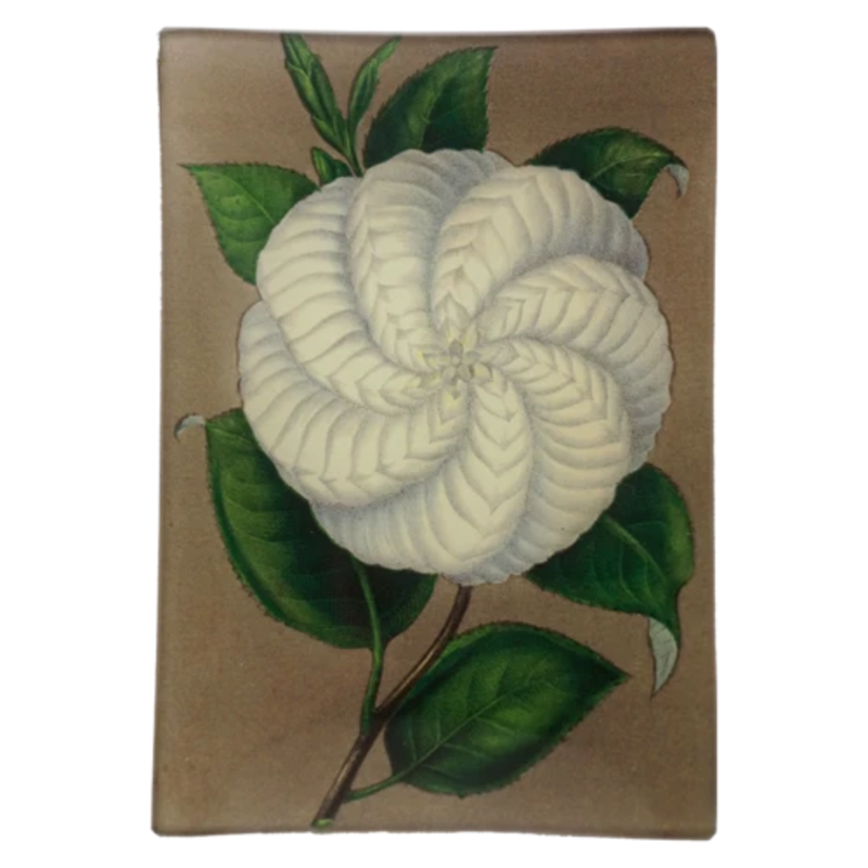 JOHN DERIAN White Camellia Mini-Tray