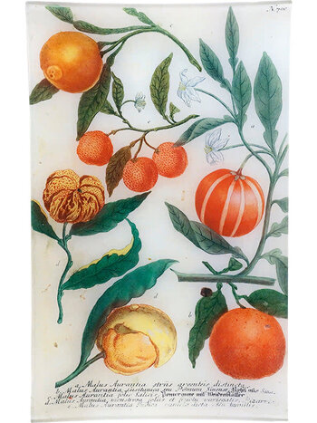 JOHN DERIAN N. 700 Oranges 10 x 16 Tray