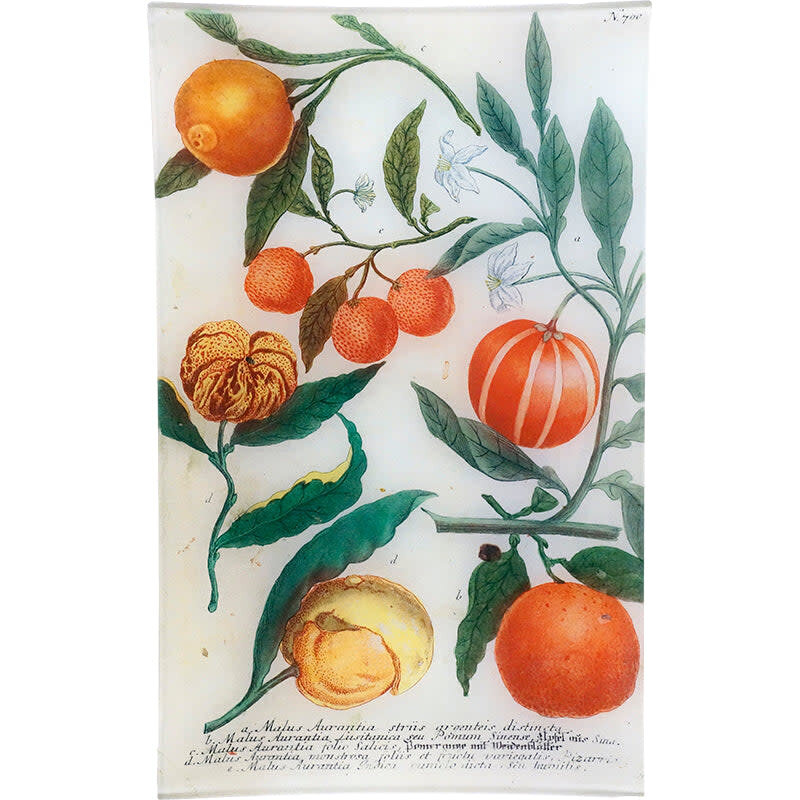 JOHN DERIAN N. 700 Oranges 10 x 16 Tray