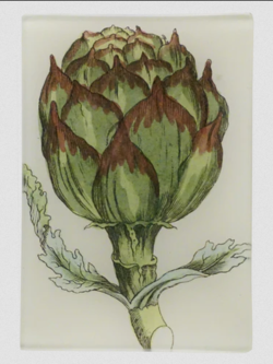 JOHN DERIAN Artichoke