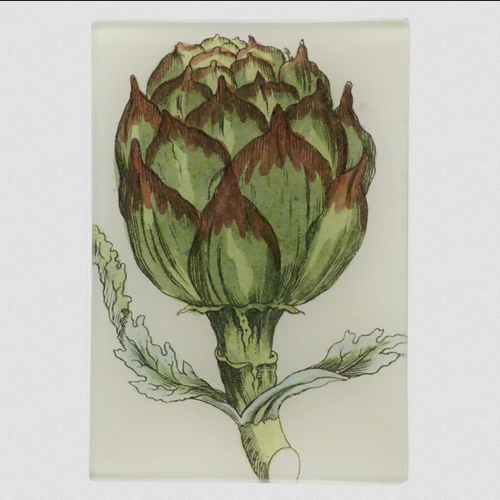JOHN DERIAN Artichoke