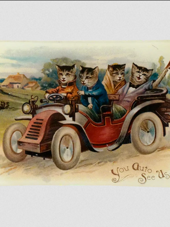 JOHN DERIAN You Auto See Us
