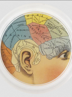 JOHN DERIAN Aspiring Coaster