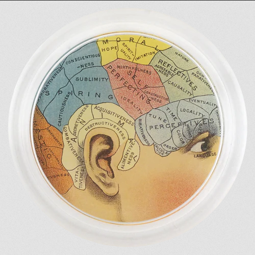 JOHN DERIAN Aspiring Coaster