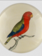 JOHN DERIAN East Indies Paroquet Paperweight