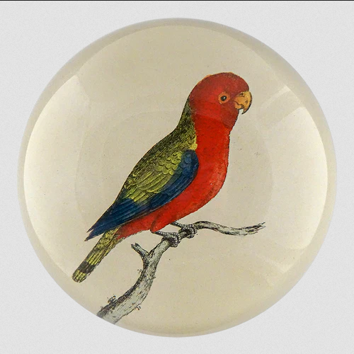 JOHN DERIAN East Indies Paroquet Paperweight