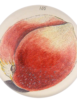 JOHN DERIAN Peach 156 Paperweight
