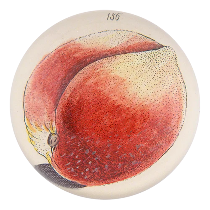 JOHN DERIAN Peach 156 Paperweight