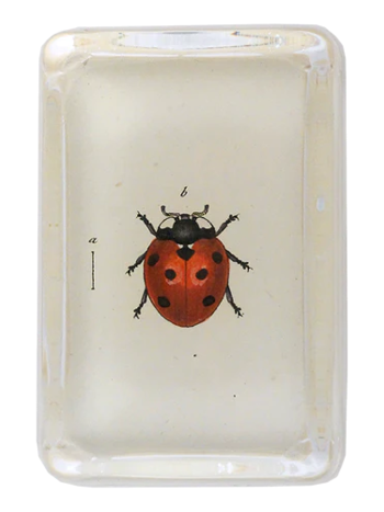 JOHN DERIAN Red Ladybug Paperweight
