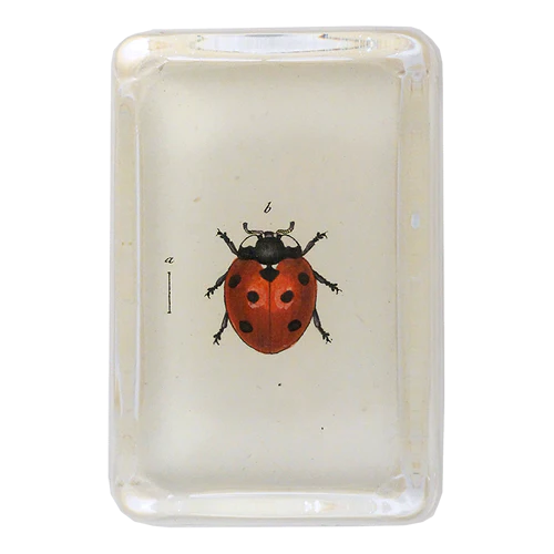 JOHN DERIAN Red Ladybug Paperweight