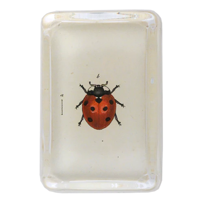 JOHN DERIAN XL Rectangular Paperweight - Red Ladybug