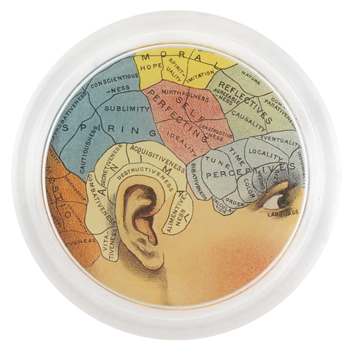 JOHN DERIAN Aspiring Coaster