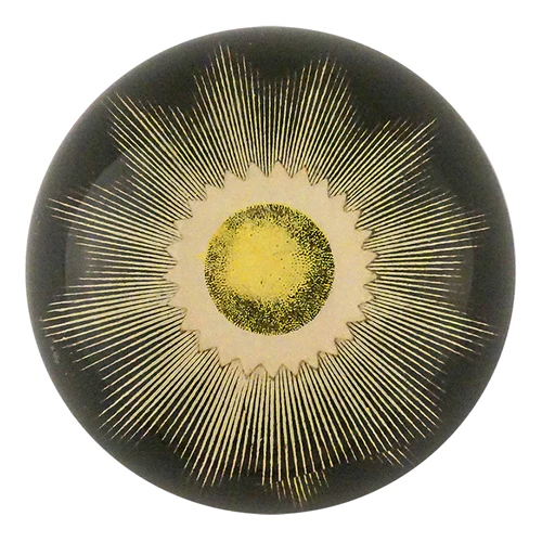JOHN DERIAN Eclipse II Paperweight