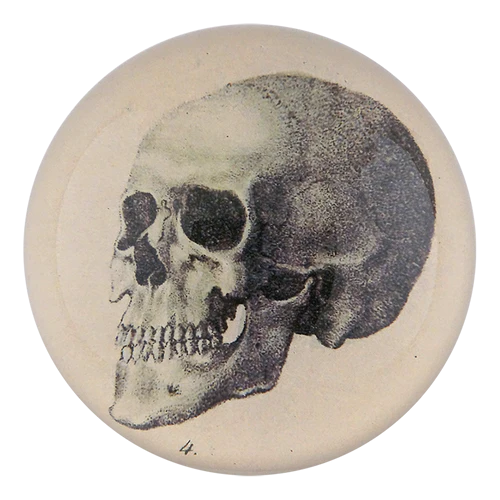 JOHN DERIAN The Skull Paperweight