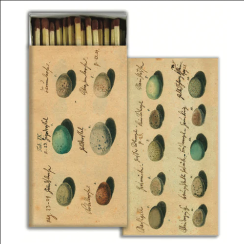 JOHN DERIAN John Derian Co. Matches - Eggs